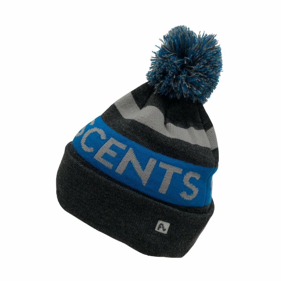 Hats Flylow | Flylow Hats First Descents Beanie Blue/Grey